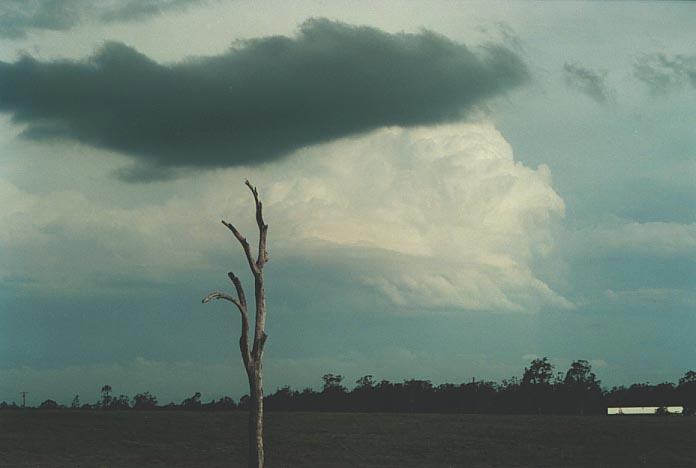 cumulonimbus supercell_thunderstorm : N of Grafton, NSW   8 December 2000