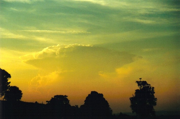 cirrus cirrus_cloud : McLeans Ridges, NSW   11 December 2000