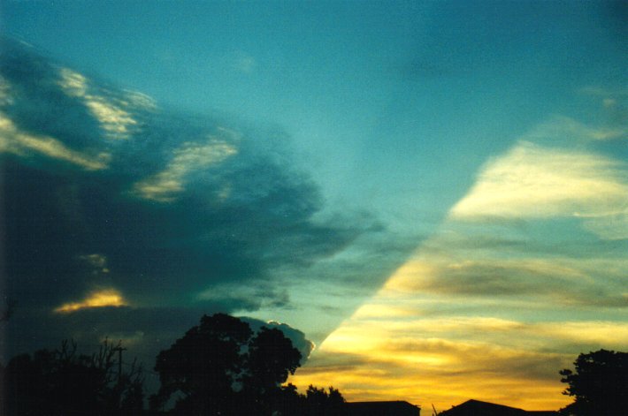 favourites michael_bath : McLeans Ridges, NSW   11 December 2000