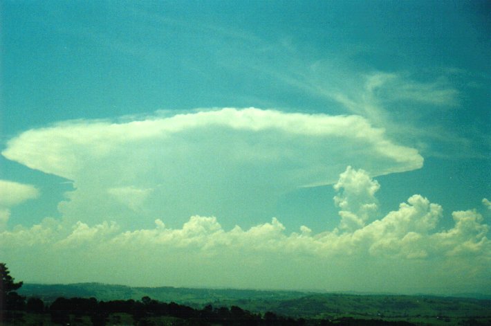 cumulus congestus : McLeans Ridges, NSW   12 December 2000