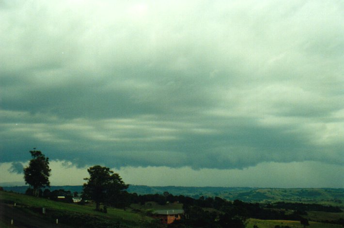 cumulonimbus thunderstorm_base : McLeans Ridges, NSW   27 December 2000