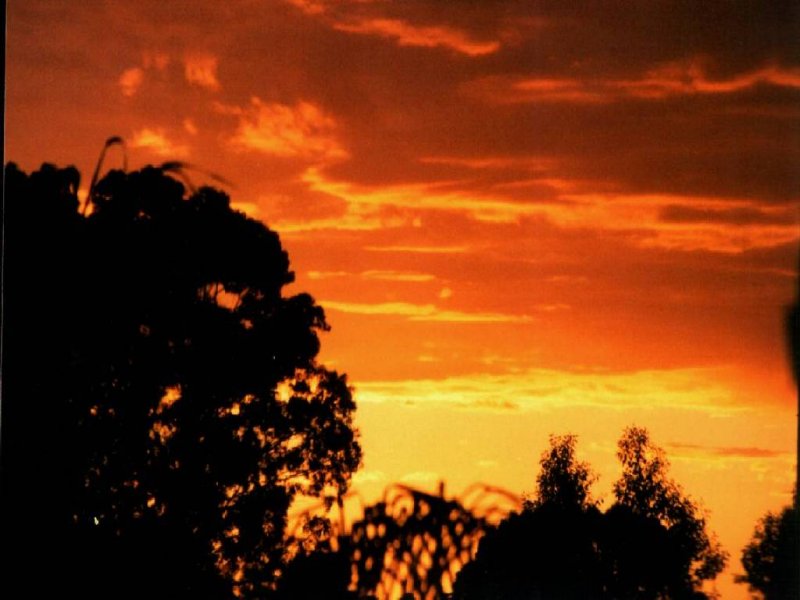 contributions received : <BR>Photo by Paul Davids   1 January 2001