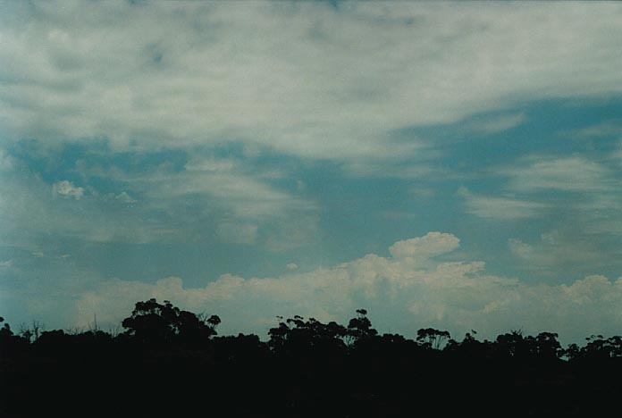 altocumulus castellanus : Lithgow, NSW   6 January 2001