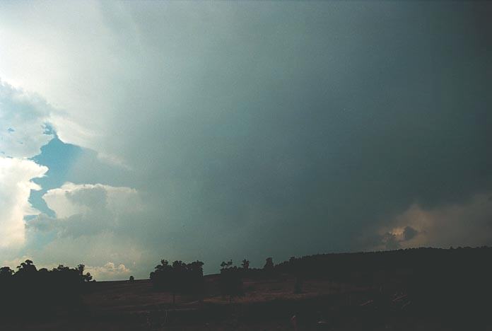 cumulonimbus supercell_thunderstorm : E of Oberon, NSW   7 January 2001