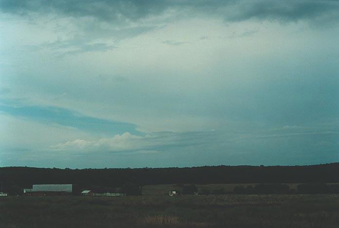 altocumulus castellanus : S of Tambar Springs, NSW   8 January 2001