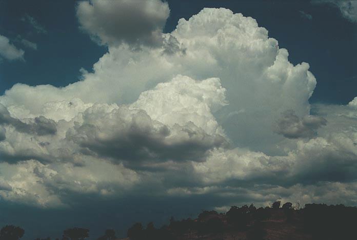 thunderstorm cumulonimbus_calvus : E of Narrabri, NSW   16 January 2001