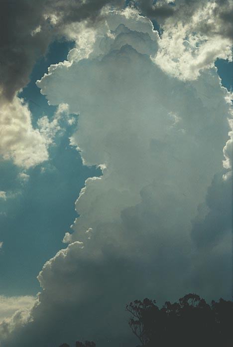 updraft thunderstorm_updrafts : SW of Bingara, NSW   16 January 2001