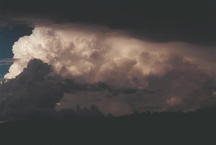 thunderstorm cumulonimbus_incus : S of Bingara, NSW   16 January 2001