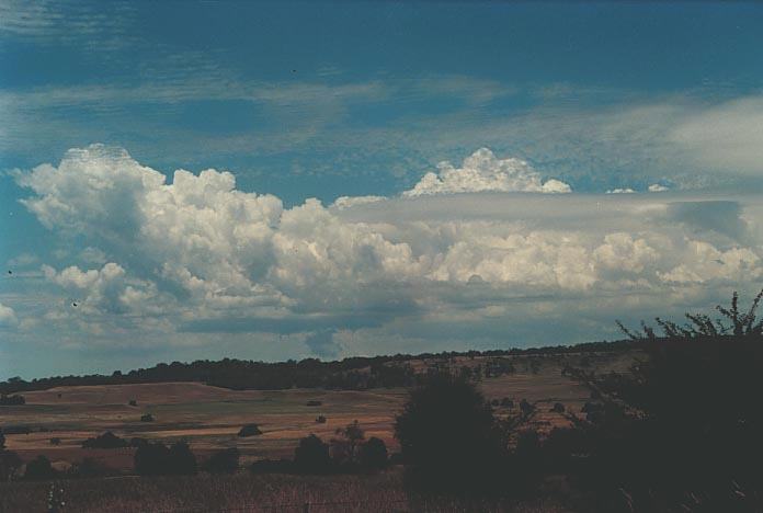 altocumulus altocumulus_cloud : E of Glen Innes, NSW   17 January 2001