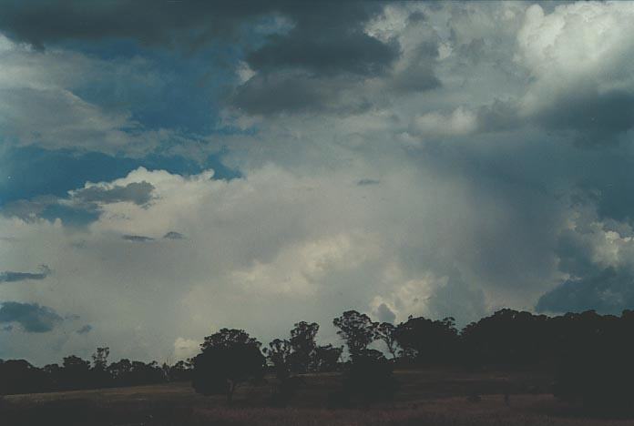 virga virga_pictures : 30km E of Guyra, NSW   17 January 2001