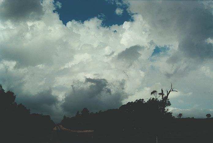 thunderstorm cumulonimbus_calvus : W of Ebor, NSW   17 January 2001