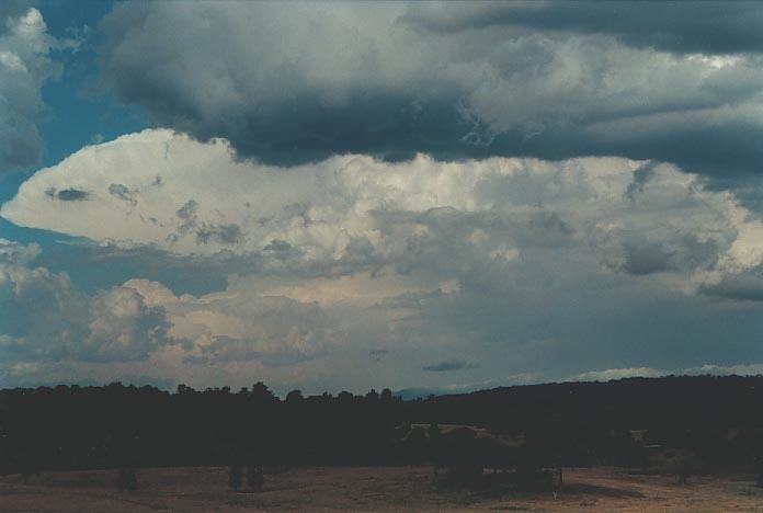 cumulonimbus supercell_thunderstorm : W of Wongwibinda, NSW   17 January 2001