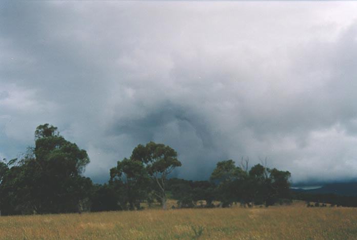 cumulonimbus thunderstorm_base : S of Wongwibinda, NSW   17 January 2001