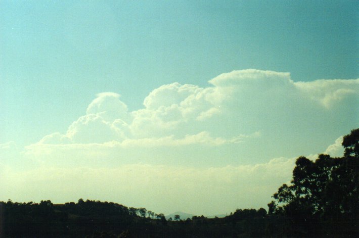 thunderstorm cumulonimbus_incus : Wyrallah, NSW   17 January 2001