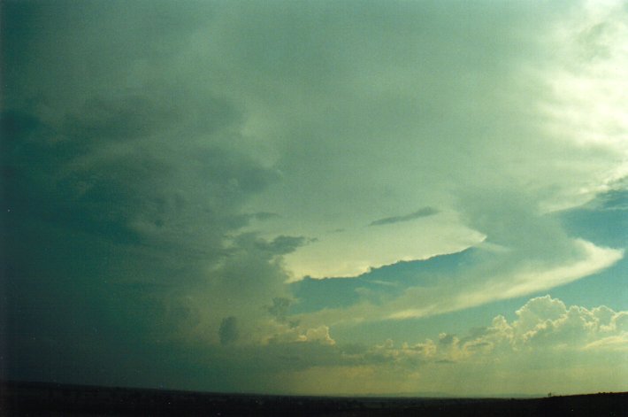 thunderstorm cumulonimbus_incus : Parrots Nest, NSW   17 January 2001