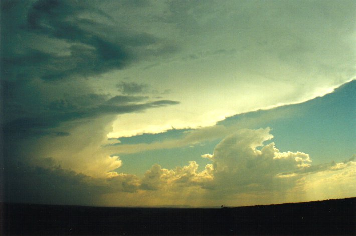 anvil thunderstorm_anvils : Parrots Nest, NSW   17 January 2001