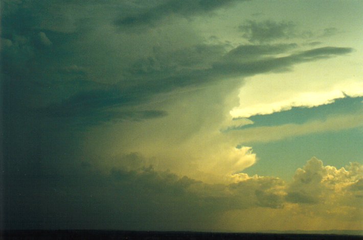 updraft thunderstorm_updrafts : Parrots Nest, NSW   17 January 2001