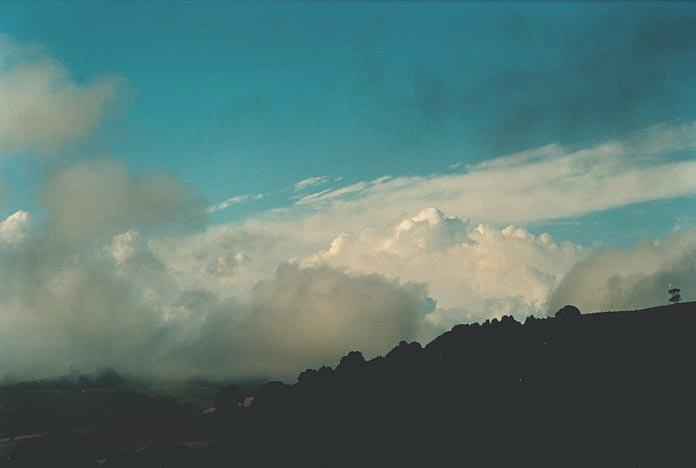 altocumulus altocumulus_cloud : Dorrigo, NSW   18 January 2001