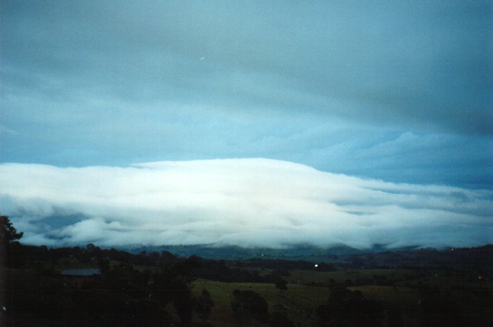 stratus stratus_cloud : McLeans Ridges, NSW   18 January 2001