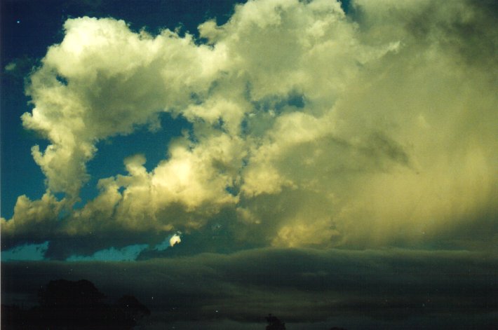 thunderstorm cumulonimbus_calvus : McLeans Ridges, NSW   18 January 2001