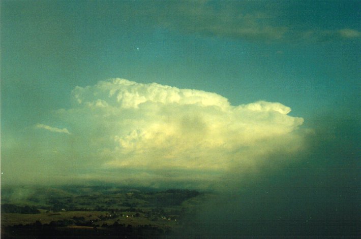 fogmist fog_mist_frost : McLeans Ridges, NSW   18 January 2001