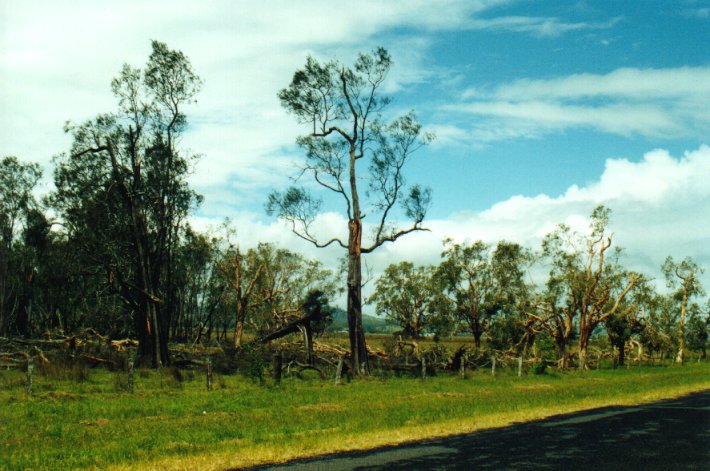 disasters storm_damage : Casino, NSW   19 January 2001