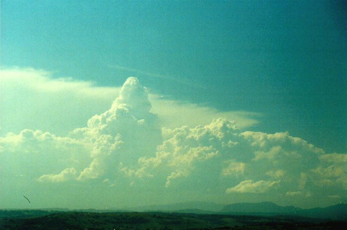 cumulus congestus : McLeans Ridges, NSW   27 January 2001