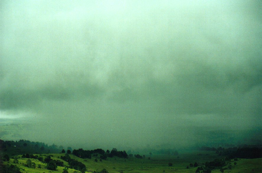 raincascade precipitation_cascade : McLeans Ridges, NSW   29 January 2001