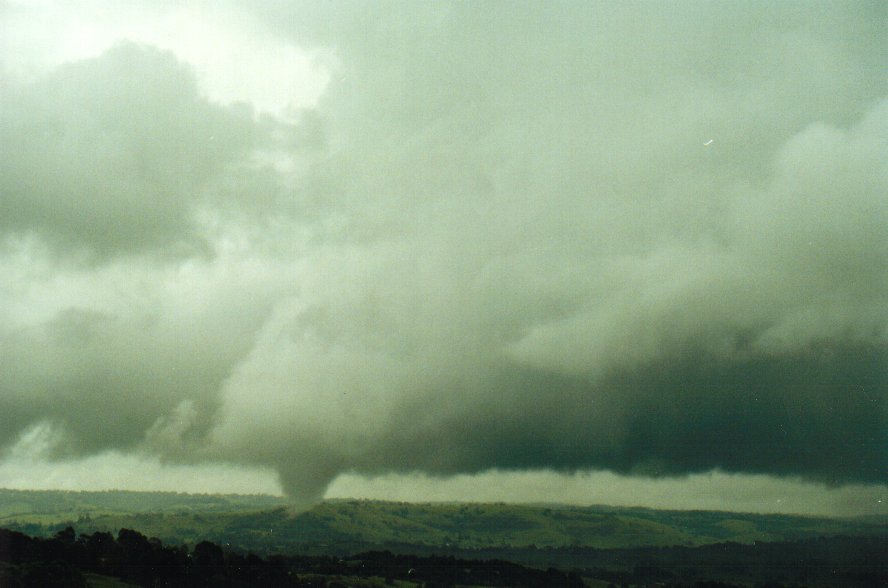 tornadoes funnel_tornado_waterspout : McLeans Ridges, NSW   29 January 2001