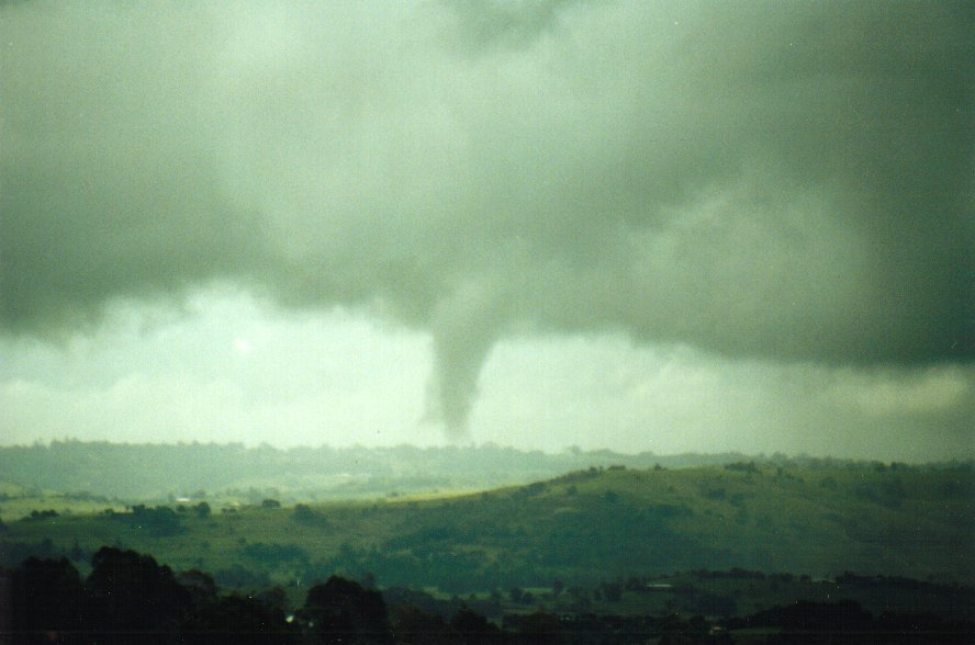 tornadoes funnel_tornado_waterspout : McLeans Ridges, NSW   29 January 2001