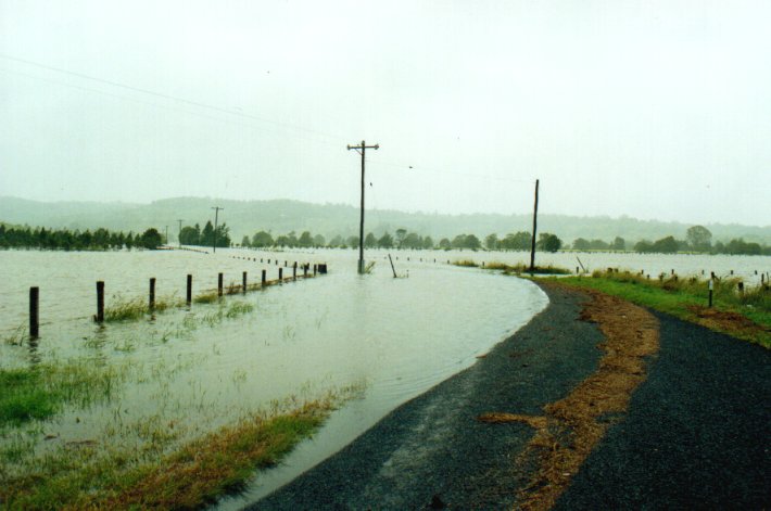 favourites michael_bath : McLeans Ridges, NSW   2 February 2001