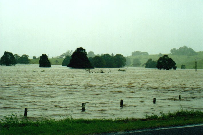 flashflooding flood_pictures : Eltham, NSW   2 February 2001