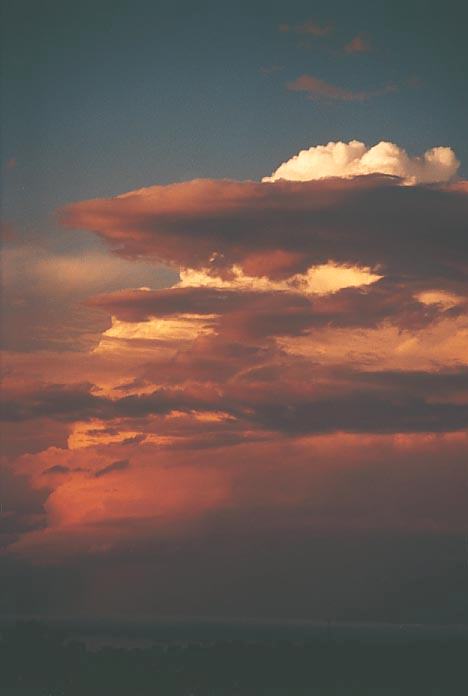 thunderstorm cumulonimbus_incus : Schofields, NSW   28 February 2001