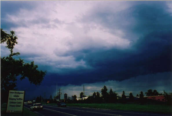 contributions received : Western Sydney, NSW<BR>Photo by Mario Orazem   28 February 2001