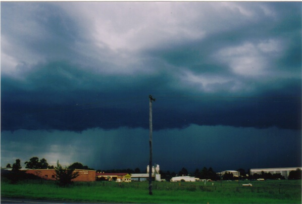 contributions received : Western Sydney, NSW<BR>Photo by Mario Orazem   28 February 2001