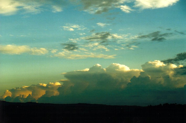 thunderstorm cumulonimbus_calvus : McLeans Ridges, NSW   9 March 2001