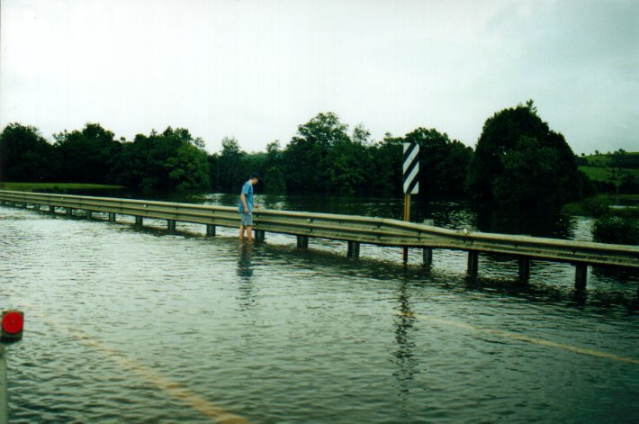 flashflooding flood_pictures : Eltham, NSW   10 March 2001