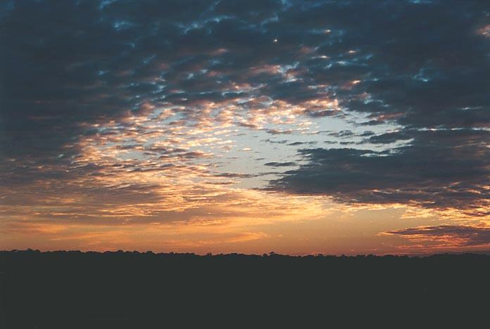 altocumulus altocumulus_cloud : Schofields, NSW   16 March 2001