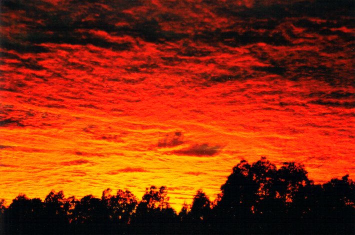 sunrise sunrise_pictures : McLeans Ridges, NSW   24 March 2001