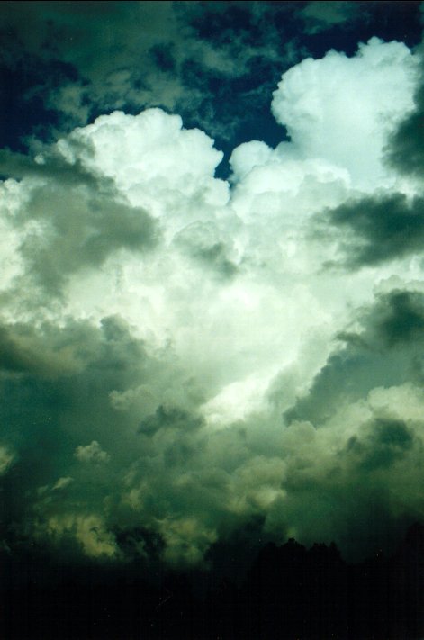 thunderstorm cumulonimbus_calvus : McLeans Ridges, NSW   26 March 2001