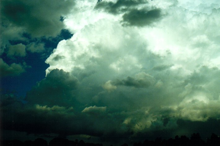 thunderstorm cumulonimbus_calvus : McLeans Ridges, NSW   26 March 2001