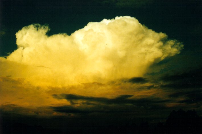 thunderstorm cumulonimbus_calvus : McLeans Ridges, NSW   26 March 2001