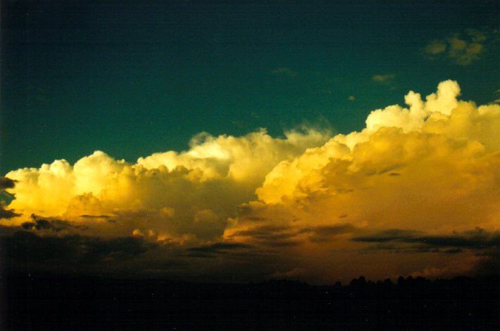 thunderstorm cumulonimbus_calvus : McLeans Ridges, NSW   26 March 2001