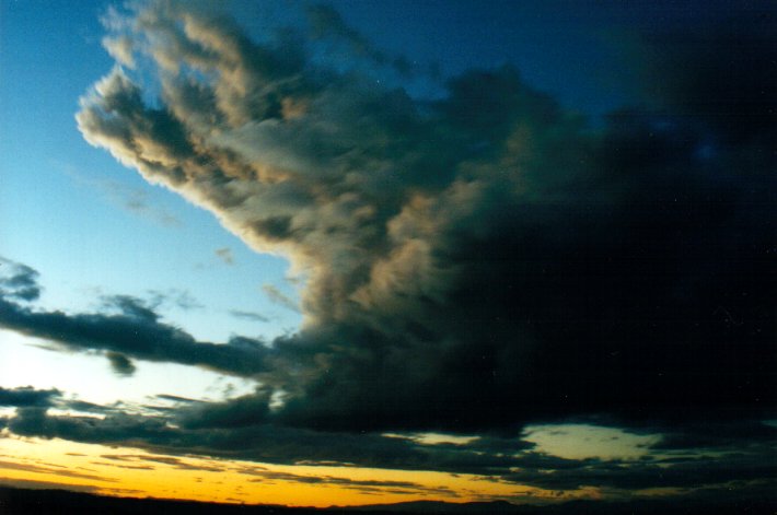 cumulus congestus : McLeans Ridges, NSW   26 March 2001