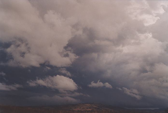 contributions received : near Willow Tree, NSW<BR>Photo by Geoff Thurtell   22 April 2001