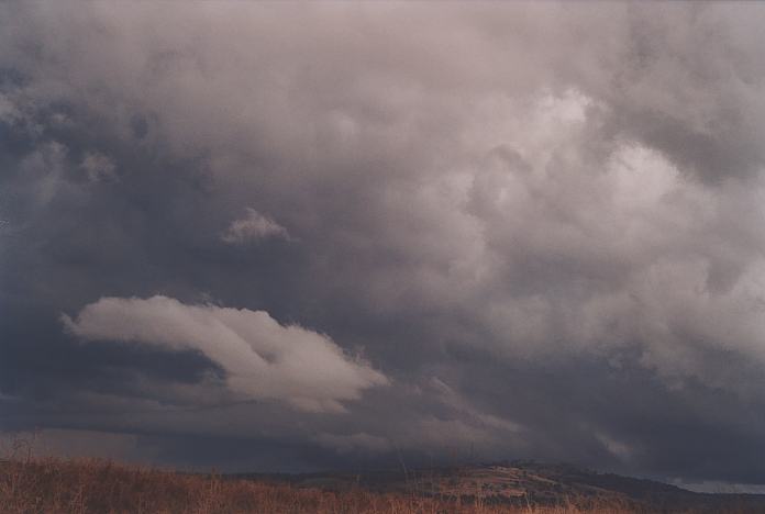 contributions received : near Willow Tree, NSW<BR>Photo by Geoff Thurtell   22 April 2001