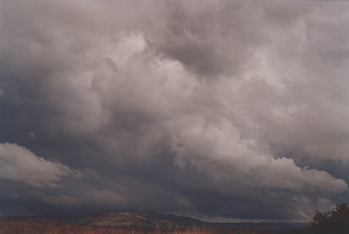 contributions received : near Willow Tree, NSW<BR>Photo by Geoff Thurtell   22 April 2001