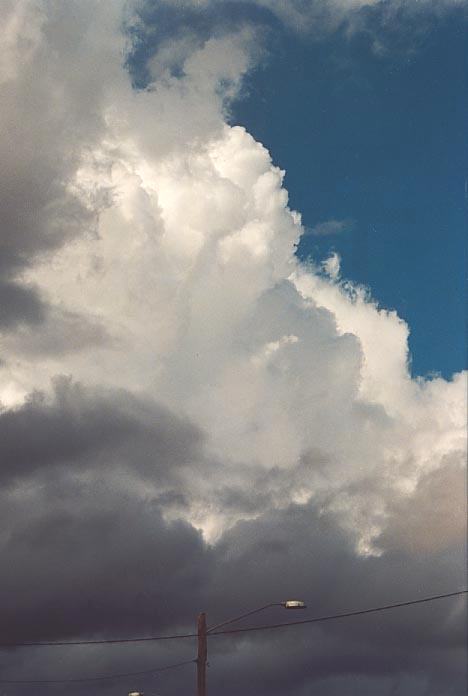 thunderstorm cumulonimbus_calvus : near Murrurrundi, NSW   22 April 2001