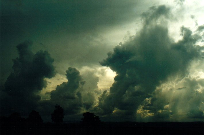 cumulus congestus : McLeans Ridges, NSW   26 April 2001