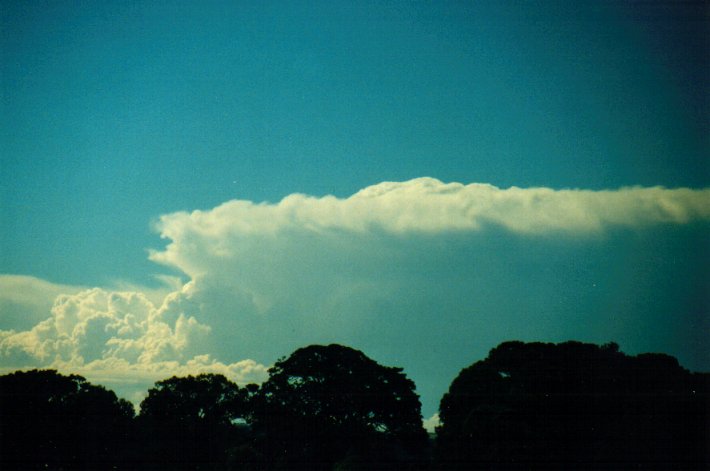 thunderstorm cumulonimbus_incus : McLeans Ridges, NSW   7 May 2001